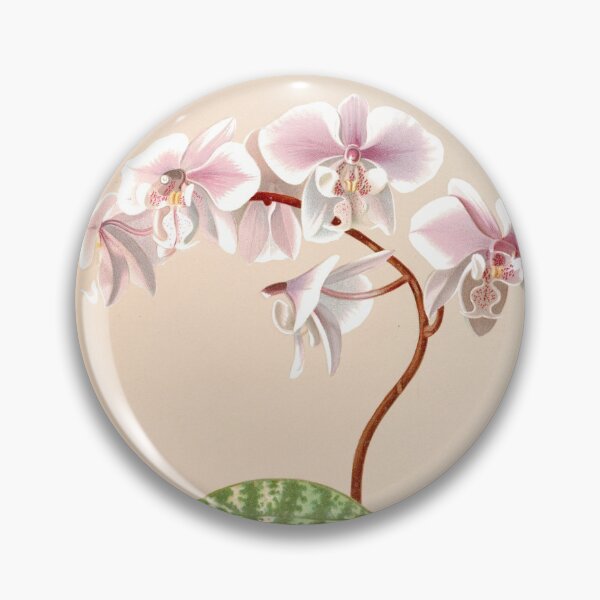 Artikelvorschau, Phalaenopsis schilleriana - botanische Illustration entworfen und verkauft von chimakingthings.
