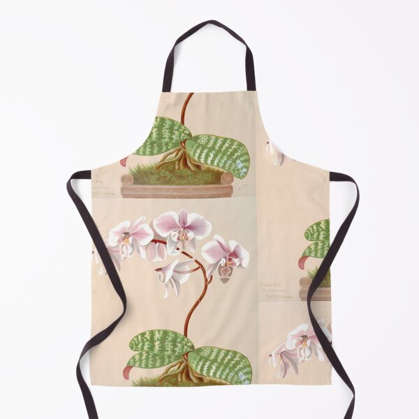 Item preview, Phalaenopsis schilleriana - botanical illustration designed and sold by chimakingthings.