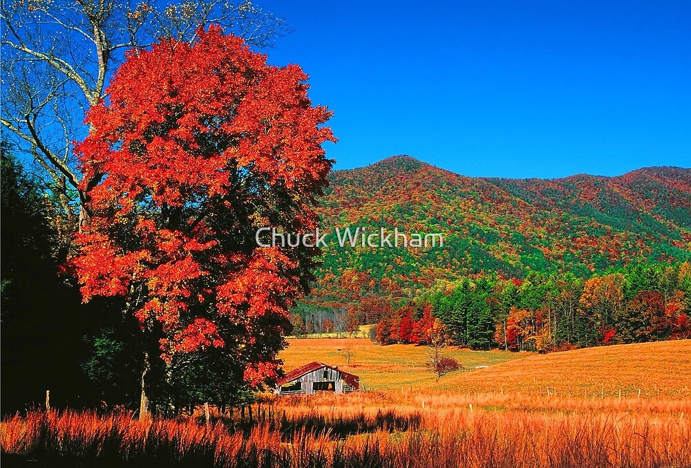 "AUTUMN,CADES COVE" by Chuck Wickham | Redbubble