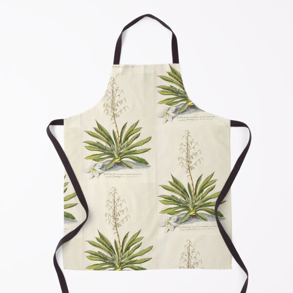 Item preview, Agave filifera - botanical illustration designed and sold by chimakingthings.