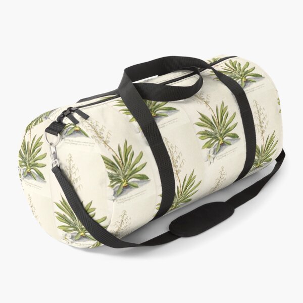 Item preview, Agave filifera - botanical illustration designed and sold by chimakingthings.