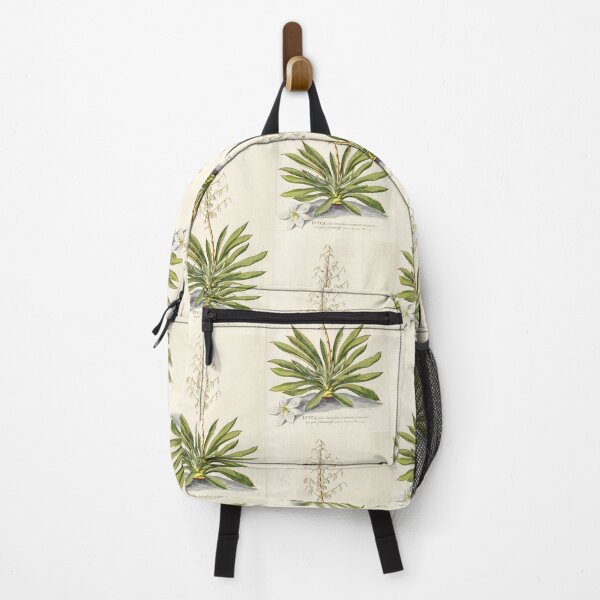 Item preview, Agave filifera - botanical illustration designed and sold by chimakingthings.