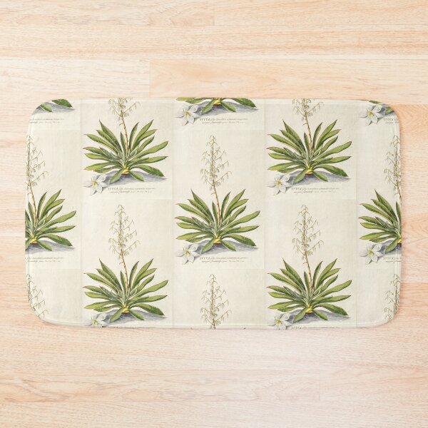 Item preview, Agave filifera - botanical illustration designed and sold by chimakingthings.