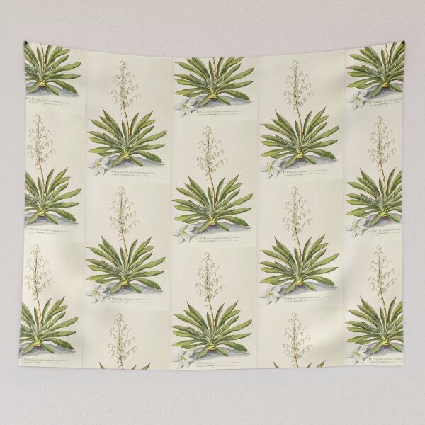 Item preview, Agave filifera - botanical illustration designed and sold by chimakingthings.