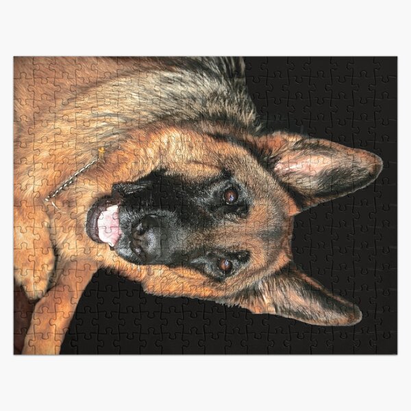 German Shepherd Resting  Jigsaw Puzzle for Sale by Nicola Morgan