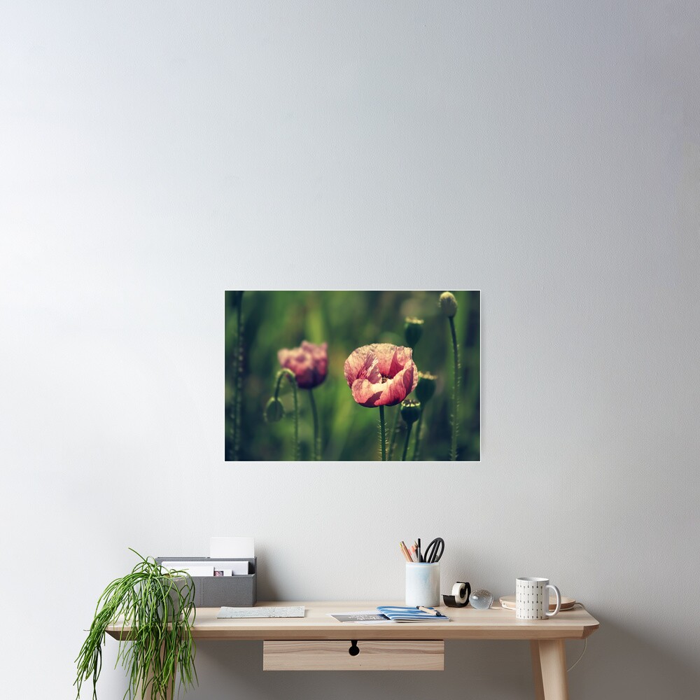 Item preview, Poster designed and sold by JayCougar.