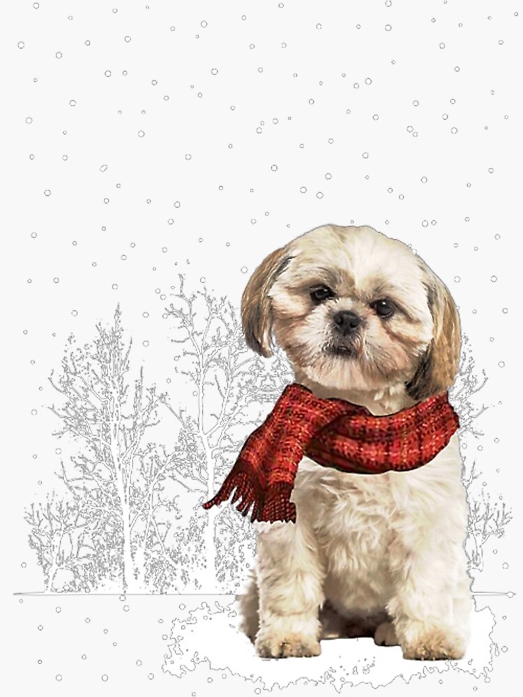 Shih store tzu scarf