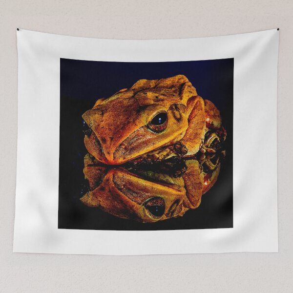 Item preview, toad photo with high resolution quality designed and sold by Allyouneed-2.