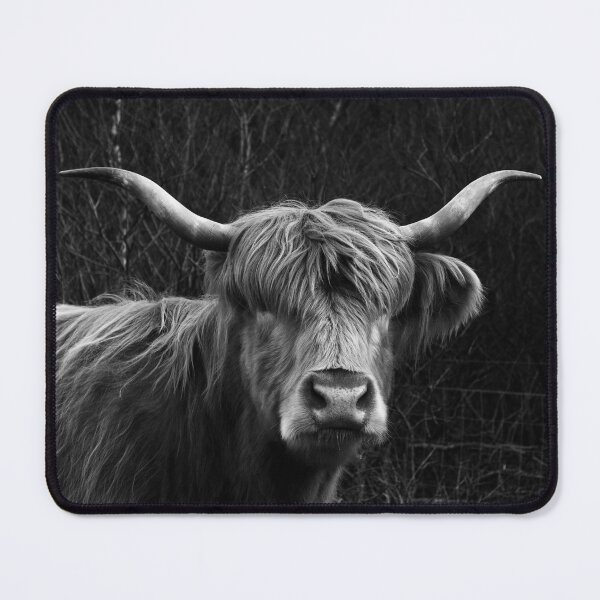 Item preview, Scottish Highland Cow designed and sold by derekbeattie.