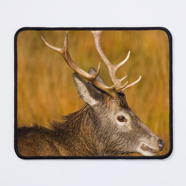 Item preview, Red Deer Stag designed and sold by derekbeattie.