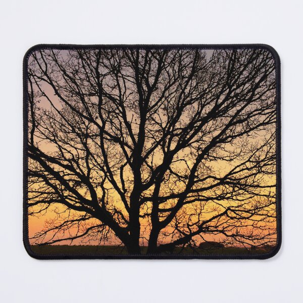 Item preview, Oak Tree at Sunset designed and sold by derekbeattie.