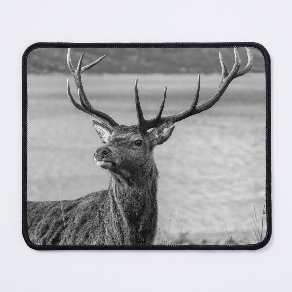 Item preview, Royal Red Deer Stag in Scotland designed and sold by derekbeattie.