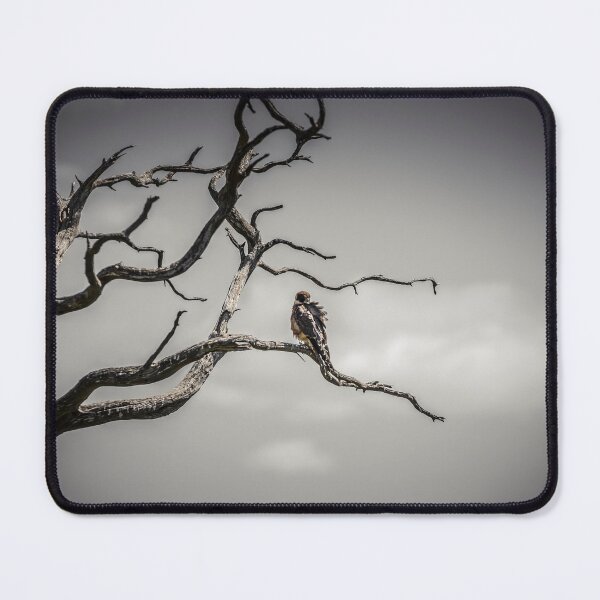 Item preview, Brown Falcon designed and sold by susanzentay.
