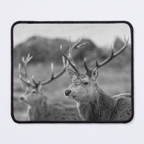 Item preview, Red Deer Stags in Scotland designed and sold by derekbeattie.