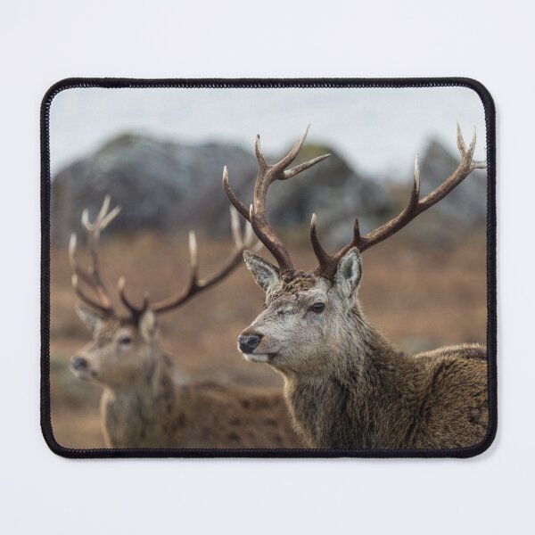 Item preview, Red Deer Stags in Scotland designed and sold by derekbeattie.