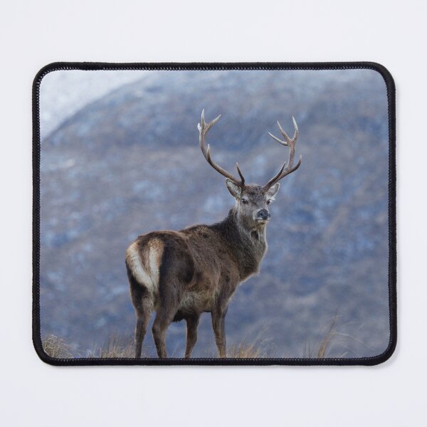 Item preview, Red Deer Stag designed and sold by derekbeattie.