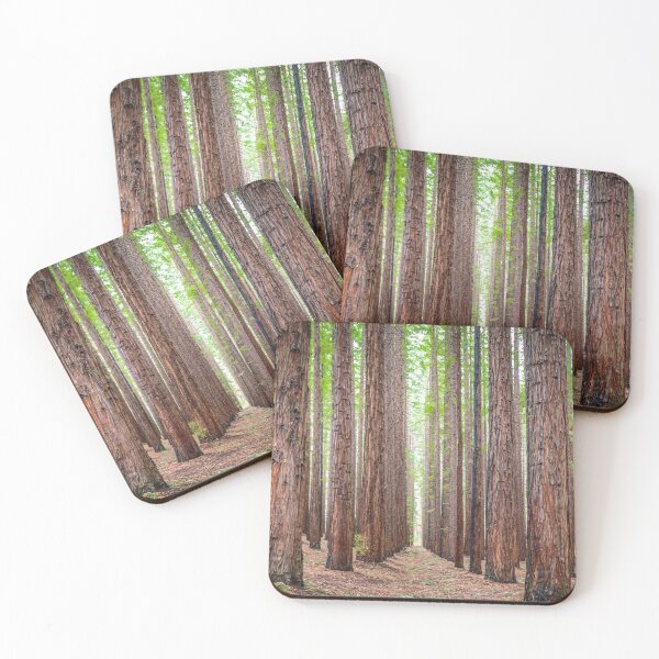 Item preview, East Warburton Redwood Forest designed and sold by susanzentay.
