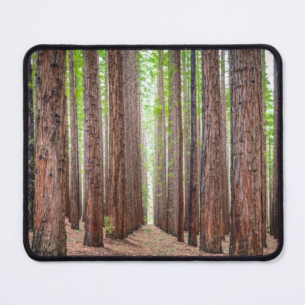 Item preview, East Warburton Redwood Forest designed and sold by susanzentay.