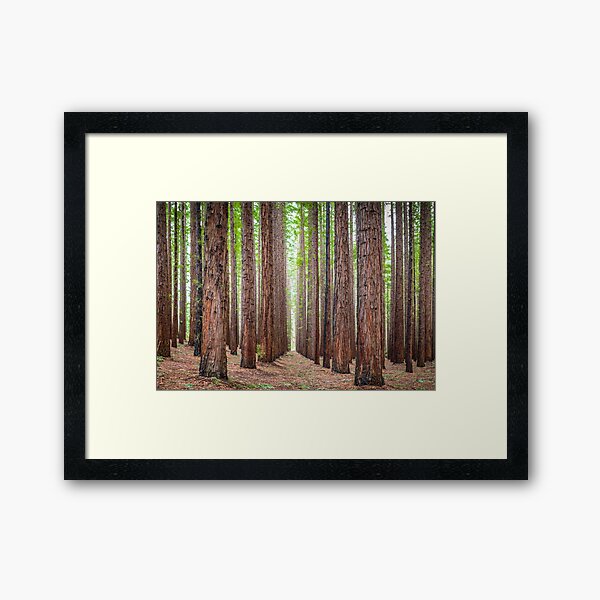 Item preview, East Warburton Redwood Forest designed and sold by susanzentay.