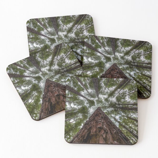Item preview, Looking Up at Redwood Forest, East Warburton designed and sold by susanzentay.