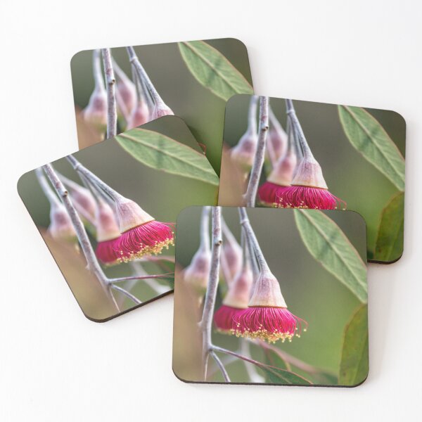 Item preview, Flowering Gumnut designed and sold by susanzentay.