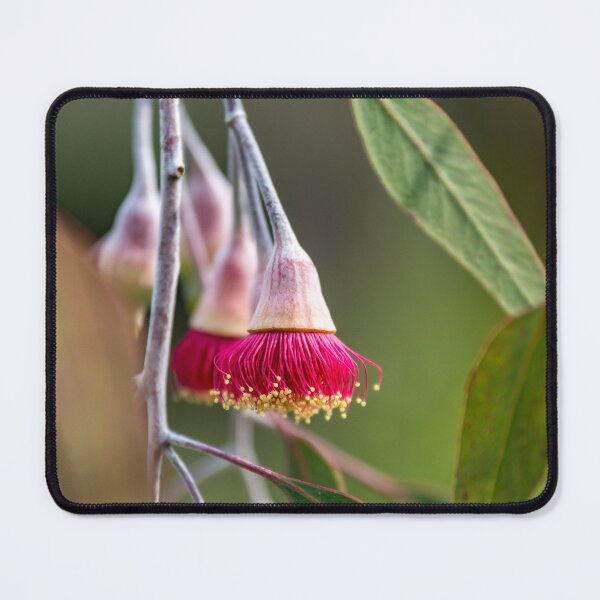 Item preview, Flowering Gumnut designed and sold by susanzentay.
