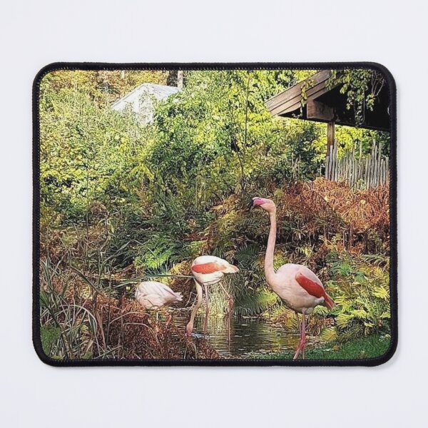 Item preview, Posing flamingos!! designed and sold by Diana Evensen.