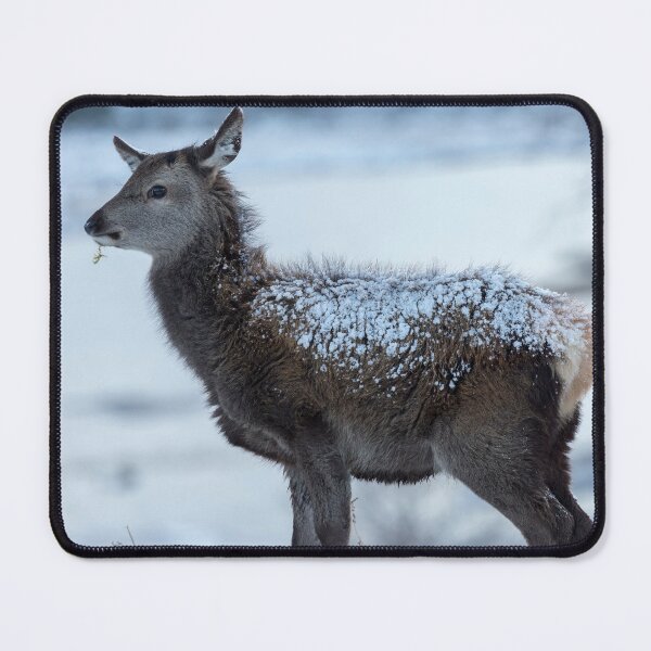 Item preview, Red Deer Hind In The Snow designed and sold by derekbeattie.