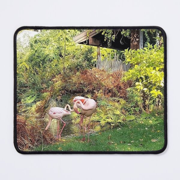 Item preview, Flamingos being themselves! designed and sold by Diana Evensen.