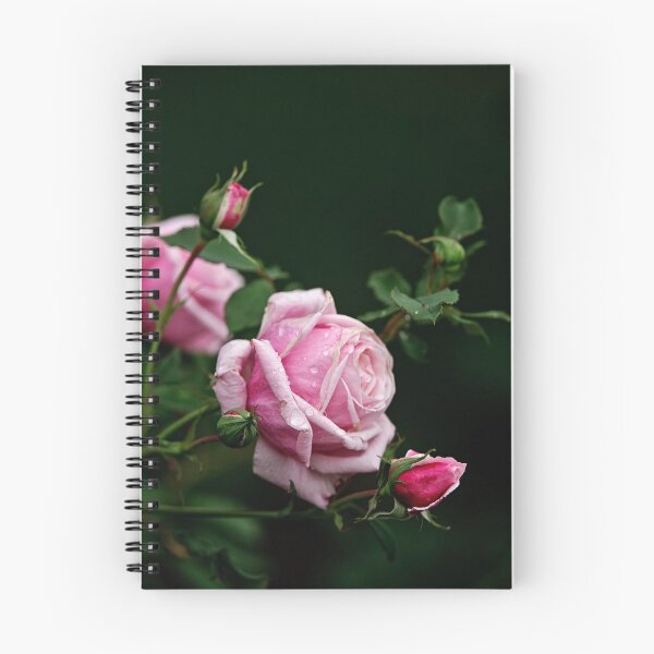 Item preview, Lavender Rose designed and sold by Michael Cummings.