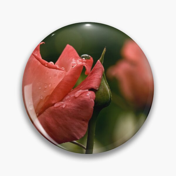 Item preview, Dark Peach Rose designed and sold by Michael Cummings.