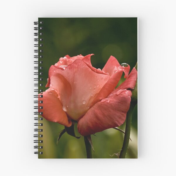 Item preview, Dark Peach Rose designed and sold by Michael Cummings.
