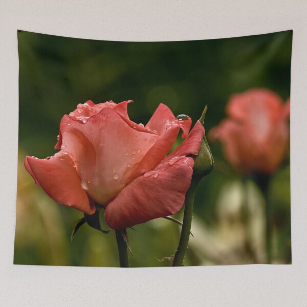 Item preview, Dark Peach Rose designed and sold by Michael Cummings.