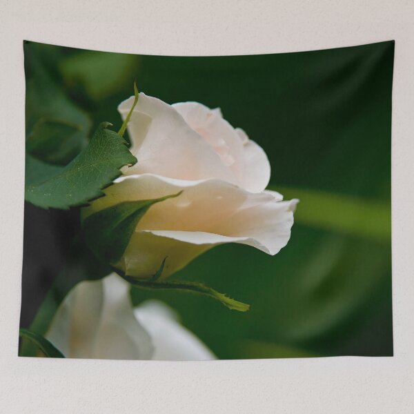 Item preview, White Roses designed and sold by Michael Cummings.