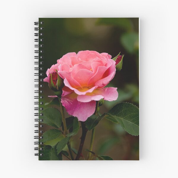 Item preview, Pink Rose designed and sold by Michael Cummings.