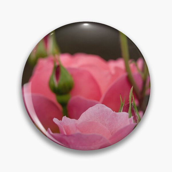 Item preview, Pink Roses designed and sold by Michael Cummings.
