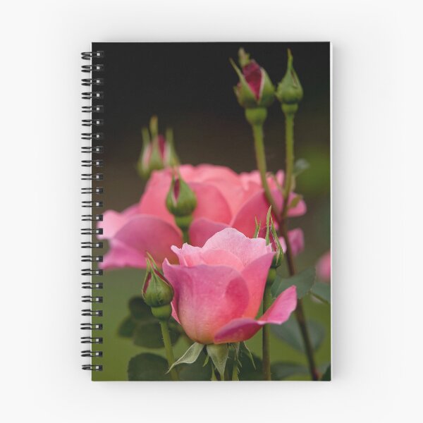 Item preview, Pink Roses designed and sold by Michael Cummings.
