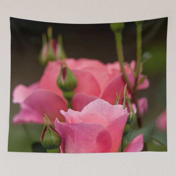 Item preview, Pink Roses designed and sold by Michael Cummings.