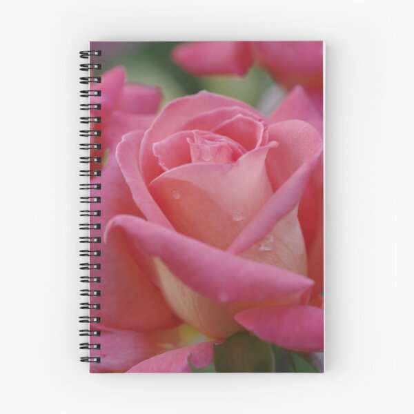 Item preview, Pink Rose designed and sold by Michael Cummings.
