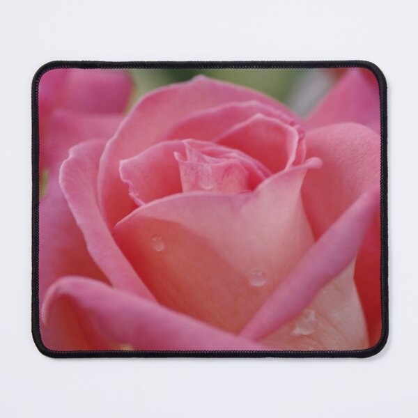 Item preview, Pink Rose designed and sold by Michael Cummings.