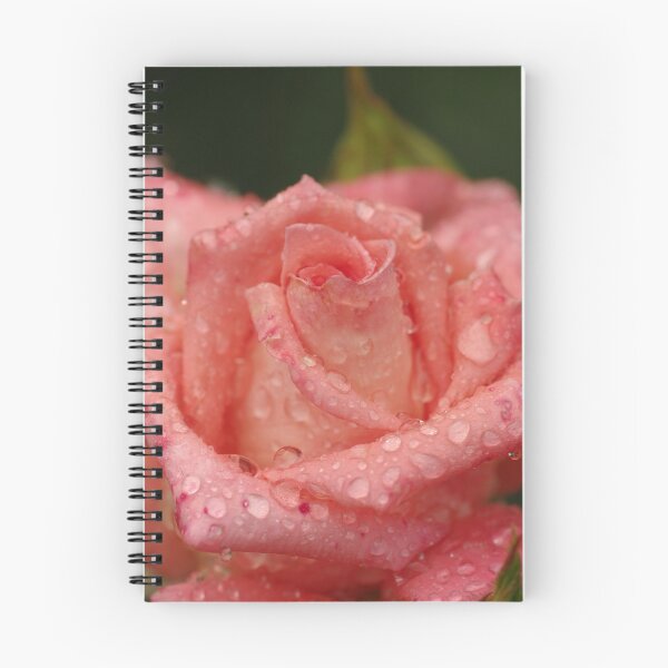 Item preview, Pink Rose designed and sold by Michael Cummings.