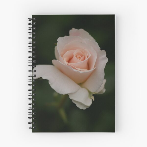 Item preview, Red Rose designed and sold by Michael Cummings.