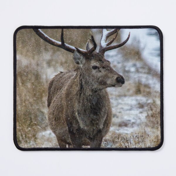 Item preview, Twelve Point Stag in the Snow designed and sold by derekbeattie.