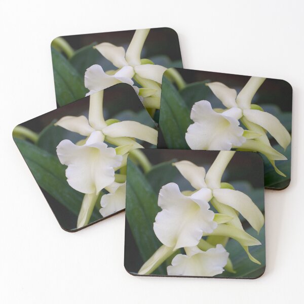 Item preview, White Orchid designed and sold by Michael Cummings.