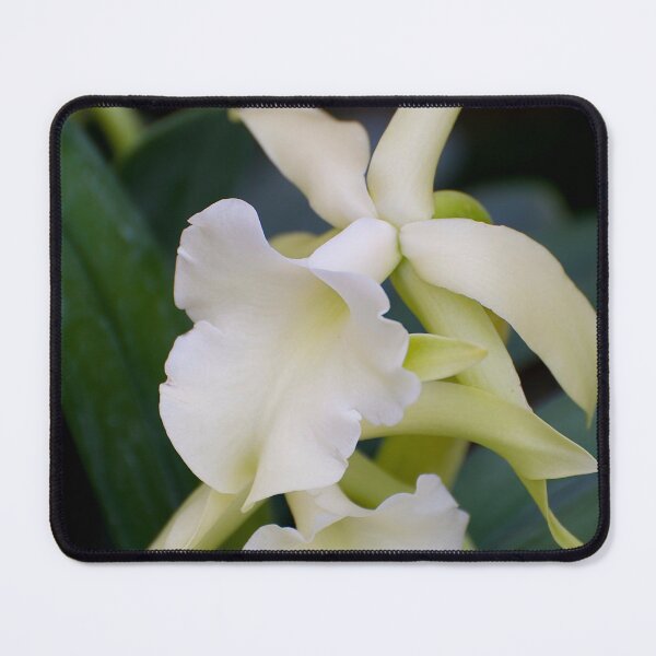 Item preview, White Orchid designed and sold by Michael Cummings.