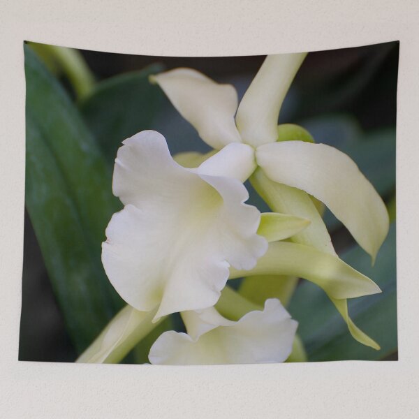 Item preview, White Orchid designed and sold by Michael Cummings.