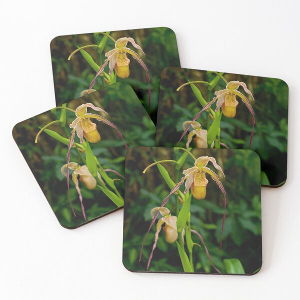 Item preview, Paphiopedilum Orchid designed and sold by Michael Cummings.