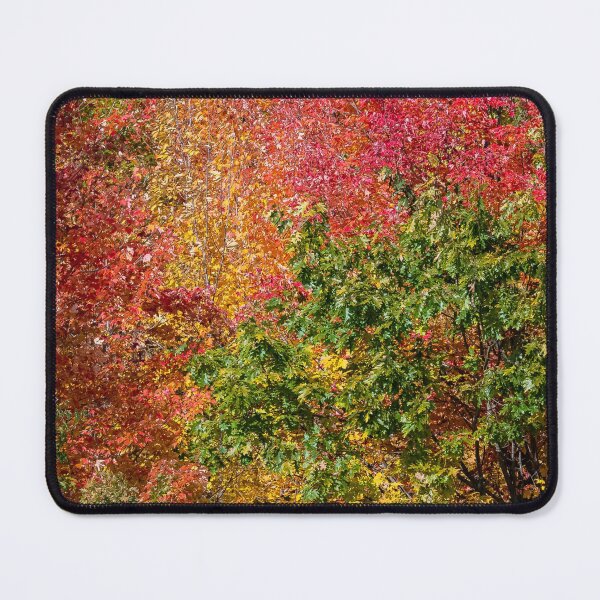 Item preview, Autumn Forest Fall Color designed and sold by Erika Bartha.