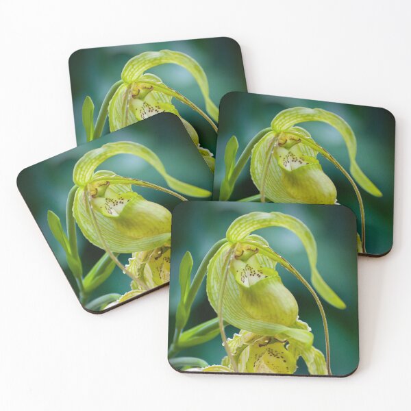 Item preview, Yellow Green Paphiopedilum Orchid designed and sold by Michael Cummings.