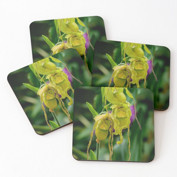 Item preview, Yellow Green Paphiopedilum Orchid designed and sold by Michael Cummings.